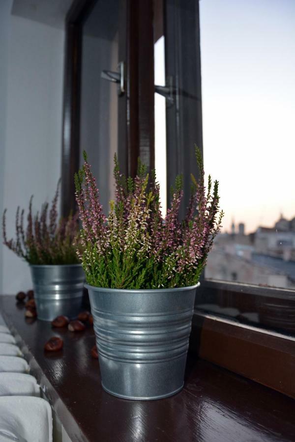 Apartament Bartolomeo Stary Toruń 외부 사진